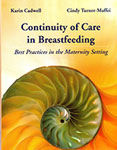 Continuity of Care in Breastfeeding: Best Practices in the Maternity Setting image