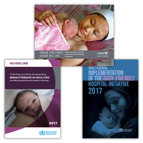 International Status of the BFHI and the WHO/UNICEF Report on the First Hours After Birth image