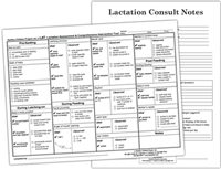 Lactation Assessment & Comprehensive Intervention Tool (The LAT) w/ Lactation Consult Notes image