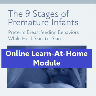 The 9 Stages of Premature Infants when in Skin-to-Skin Contact Online Module image