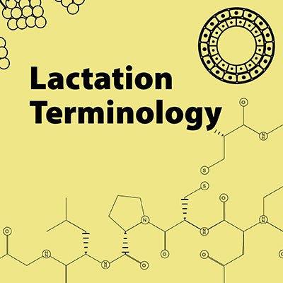 Lactation Terminology image